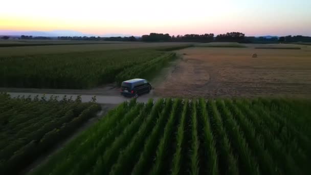 Cinematic Fpv Shot Grey Volkswagen Minibus Driving Green Field Rural — Stock video