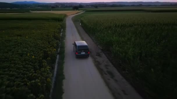 Cinematic Fpv Shot Grey Volkswagen Minibus Driving Green Field Rural — Stock video