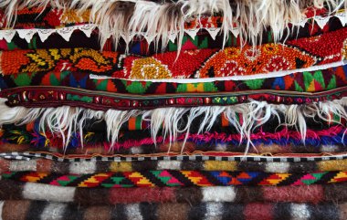 canlı Halı renkleri