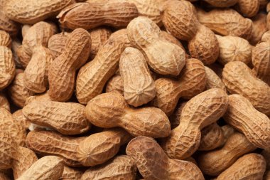 çiğ fıstık yığını