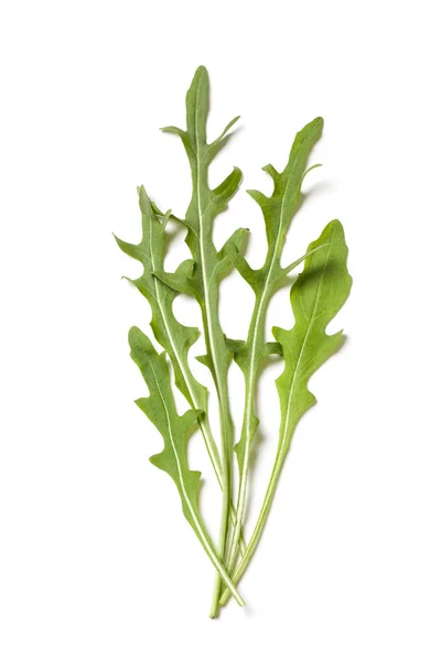 Ruccola fresca — Foto Stock