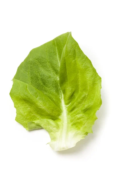 Sallad leafs - Foto — Stockfoto