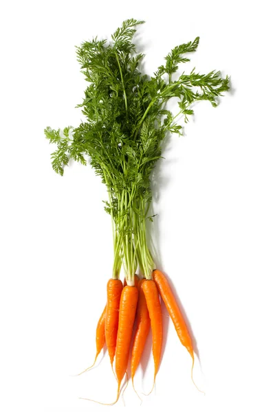 Bunch Of Carrots - Stock Photo — Stock Photo, Image