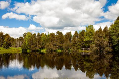 Nehir ve gölü olan güzel bir manzara.