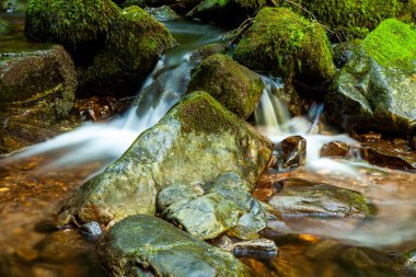 Ormanda güzel bir şelale