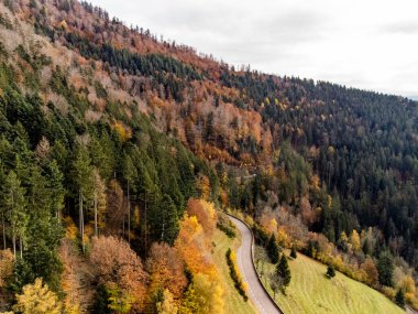 Almanya 'da Kara Orman' da bir yol üzerinde havadan çekilmiş bir fotoğraf