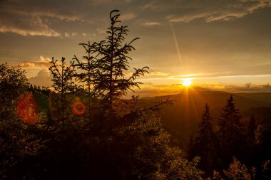 Almanya 'da Kara Orman' da Günbatımı