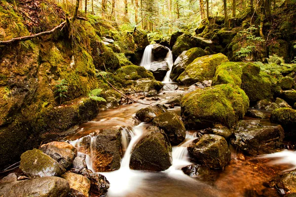 Ormanda güzel bir şelale