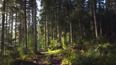 Aerial video with beautiful landscapes, roads, unique video, 
