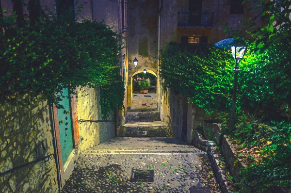 Desenho Aquarela Escadaria Cobblestone Com Escadas Árvores Verdes Arbustos Luzes — Fotografia de Stock