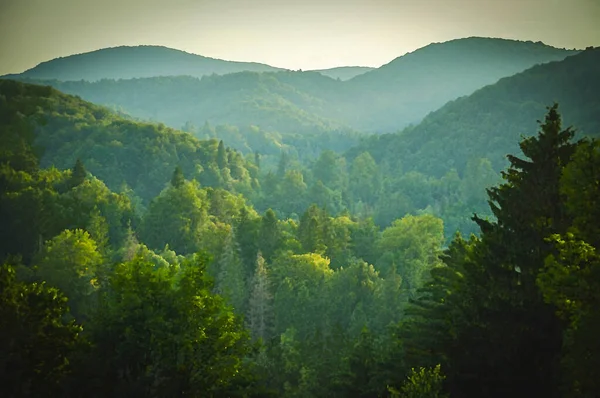 Aquarellzeichnung Von Schöne Aussicht Auf Wälder Und Grüne Hügel Nationalpark — Stockfoto