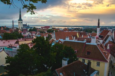 Tallinn 'in eski panoramik manzarasının geleneksel kırmızı kiremit çatıları, ortaçağ kiliseleri, kuleleri ve duvarları ile suluboya çizimi, Kohtuotsa Vaateplatvorm Toompea Hill, Estonya