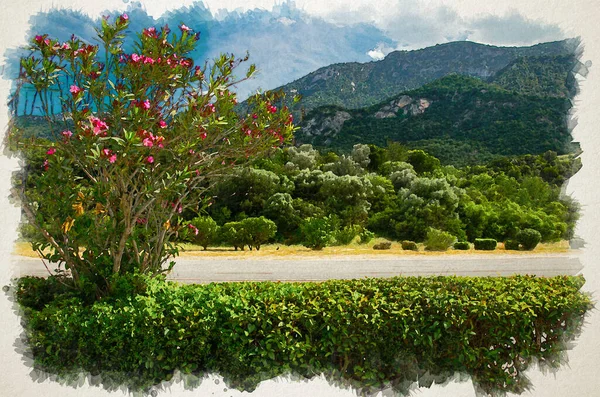 Akvarell Rajz Gyönyörű Kilátás Thermopylae Hegyi Átjáró Bokor Virágok Előtérben — Stock Fotó