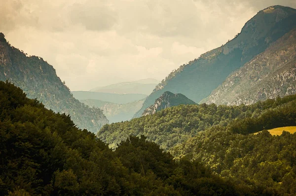 Aquarell Zeichnung Des Gebirges Und Der Wälder Der Schlucht Des — Stockfoto