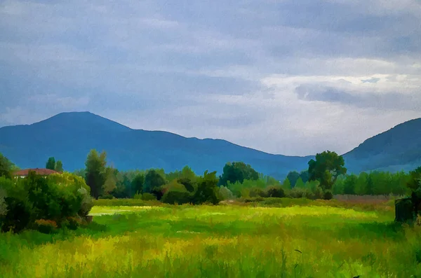 Rysunek Akwareli Widok Trawy Zielone Pole Drzew Krzewów Wzgórz Toskanii — Zdjęcie stockowe