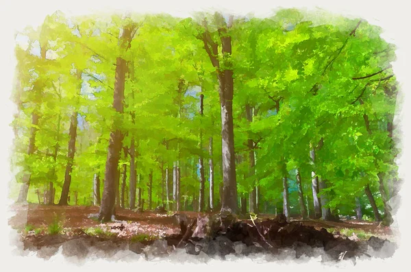Акварельный Рисунок Буковых Деревьев Зелеными Листьями Ветвях Славкове Густой Густой — стоковое фото
