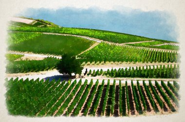 Üzüm bağlarının suluboya çizimleri yeşil alanlar, tepelerde asma sıraları ve ağaç, Ren Vadisi nehri, Rheingau şarap bölgesi Rudesheim am Rhein kasabası yakınlarında, Almanya