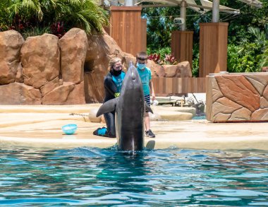 Orlando, Florida. 28 Eylül 2021. Yunus Maceraları Seaworld 'de Göster (10