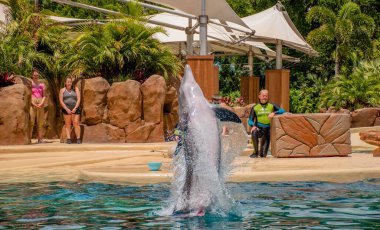 Orlando, Florida. 28 Eylül 2021. Yunus Maceraları Seaworld 'de Göster (11).