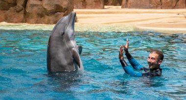 Orlando, Florida. 28 Eylül 2021. Yunus Maceraları Seaworld 'de Göster (18