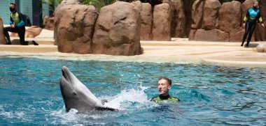 Orlando, Florida. 28 Eylül 2021. Yunus Maceraları Seaworld 'de Göster (19)