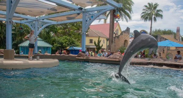 Orlando Florida Setembro 2021 Encontro Golfinhos Berçário Seaworld — Fotografia de Stock