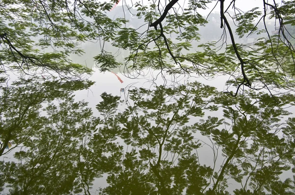 Hoan Kiem Lake, Hanoi, Vietnam from underneath a tree — Stock Photo, Image