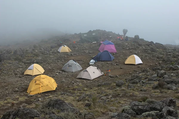 Wandern in Afrika bei Nebel — Stockfoto