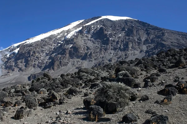 Mt. Kilimanjaro, the roof of Africa — Stock Photo, Image