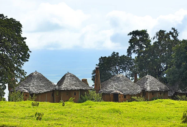 Der berühmte Nationalpark "ngoro-ngoro". Tansania. — Stockfoto