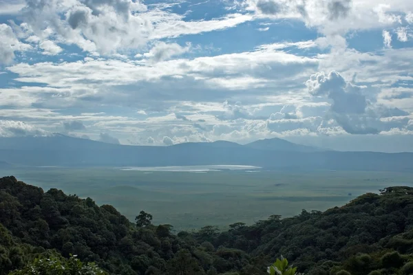Park narodowy "ngoro-ngoro", tanzania. — Zdjęcie stockowe