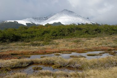 tierra del fuego peyzaj ushuaia yakınında. Arjantin.
