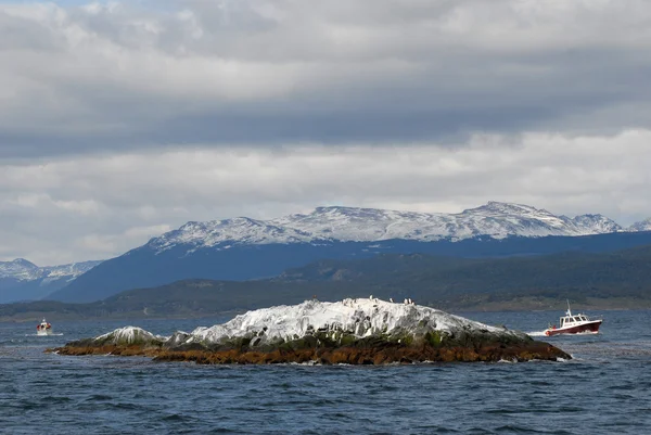 Deux navires dans le canal Beagle — Photo