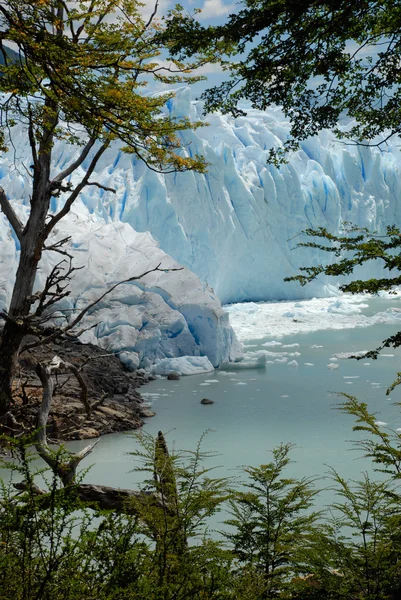 Der perito moreno gletscher in patagonien, argentinien. — Stockfoto