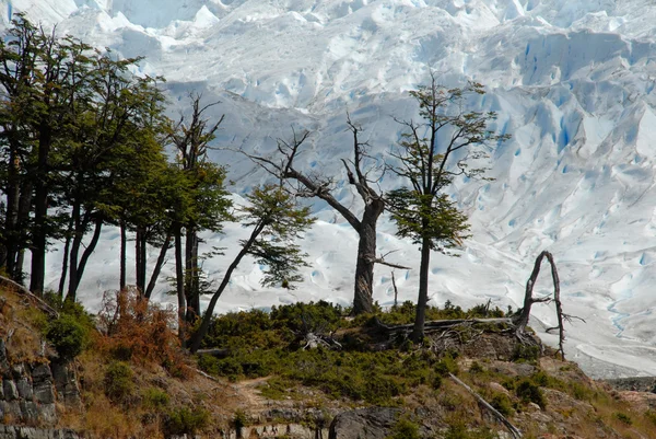 The Perito Moreno Glacier in Patagonia, Argentina. — Stock Photo, Image
