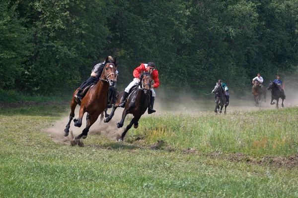 Carrera de caballos. — Foto de Stock