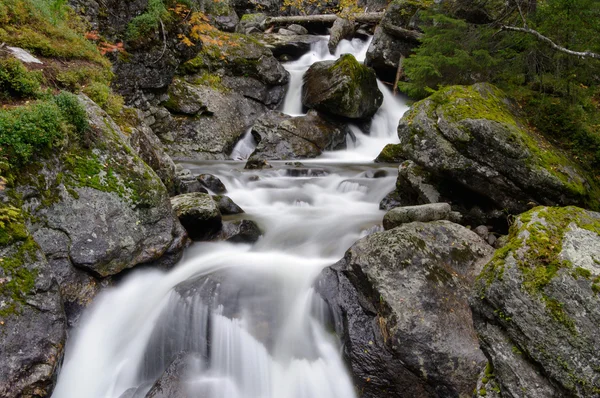 Waterfall in beautiful Autumn setting. — Stock Photo, Image