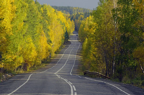 Strada di autunno in foresta. — Foto Stock