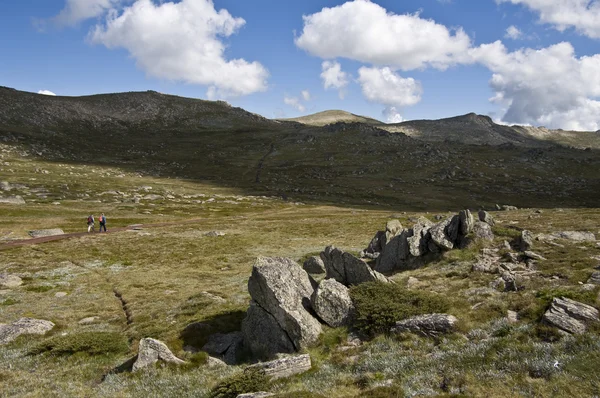 La piste de marche jusqu'au mont Kosciuszko dans les montagnes enneigées , — Photo