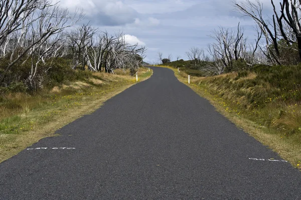 Silnice v mt kosciuszko national park, Nový Jižní wales, Austrálie. — Stock fotografie