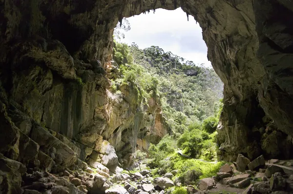 놀란 acrh 및 블루 마운틴, 호주에서 동굴. 스톡 사진