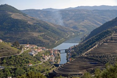 Douro valley - posta bağ bölge Portekiz.
