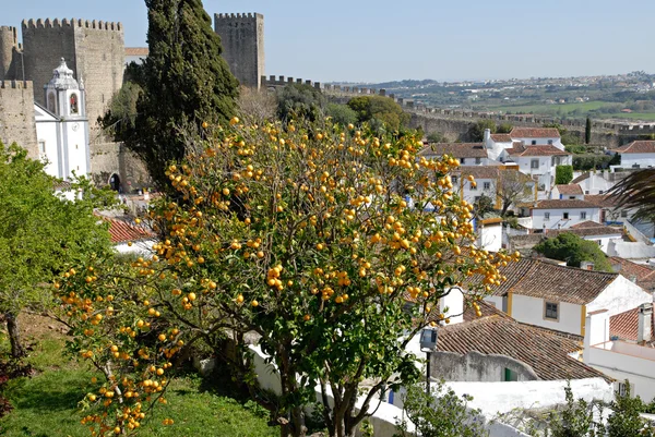 Vista da cidade murada medieval de Óbidos, no oeste de Portugal . — Fotografia de Stock