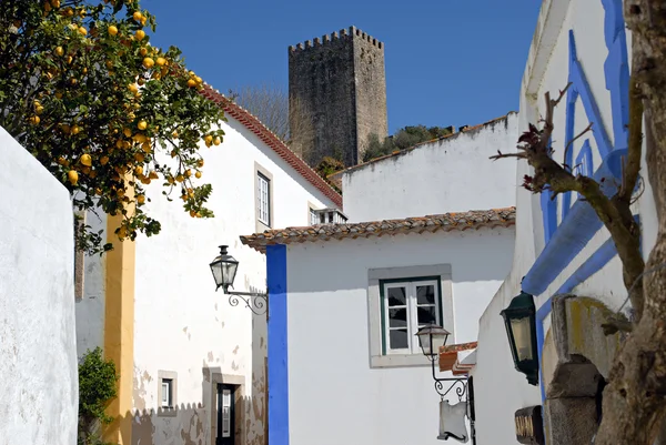 Uitzicht op de middeleeuwse ommuurde stad van obidos in westelijke portugal. — Stockfoto