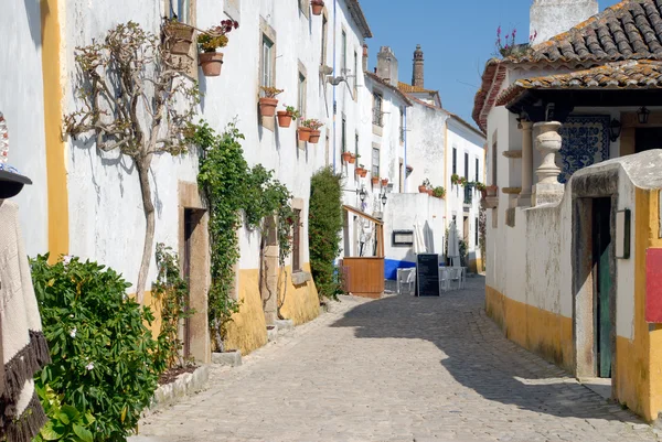 中世纪的西方葡萄牙奥比都斯薄壁镇的看法 — 图库照片