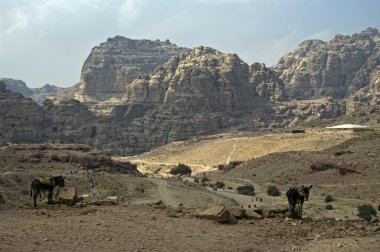 petra, jordan'ın panoramik manzarasını.