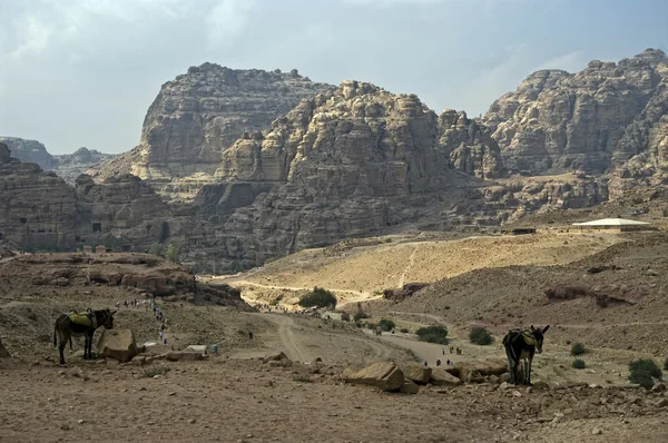 Vista panorámica de Petra, Jordania . — Foto de Stock