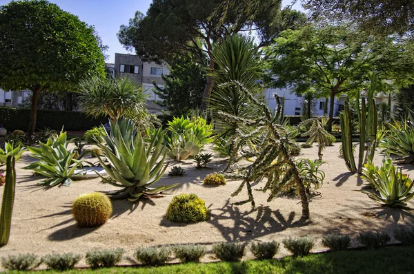 Jardín ornamental del Templo Baha 'i en Haifa, Israel . — Foto de Stock