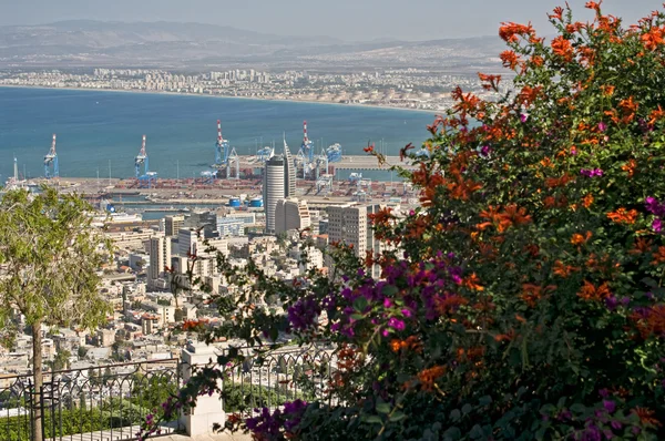 De haven stad van haifa. Israël. — Stockfoto