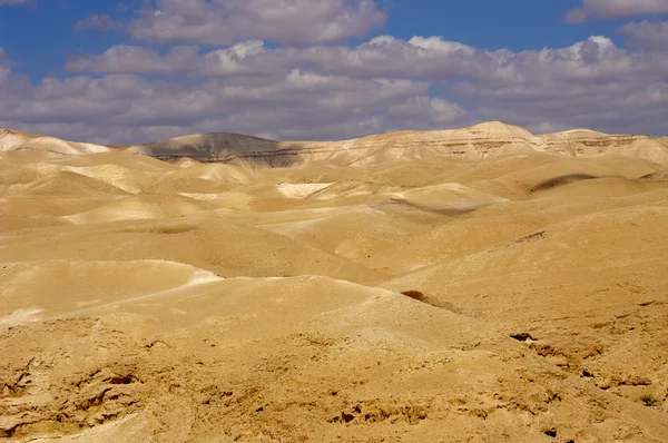 De judean woestijn. Israël. — Stockfoto